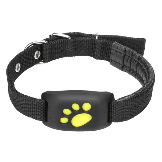 The Pet GPS Tracker Collar on a white background.