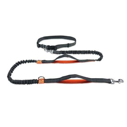 Reflective Rope Pet Leash in blue, orange, and green with durable nylon construction, reflective detailing, and a versatile 3 D ring system.